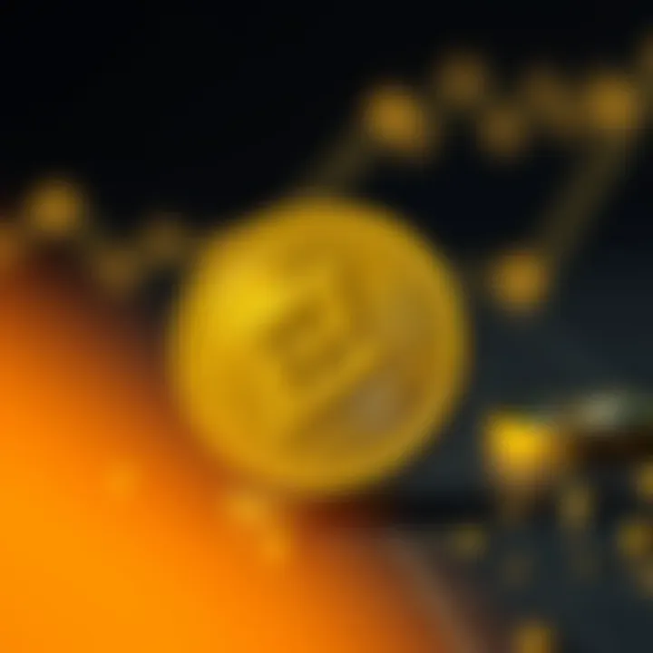 Magnificent Binance Smart Chain과 MetaMask의 통합: 기회와 도전