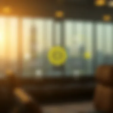 Functionality Overview of Binance Scan Infographic explaining the functionality of Binance Scan