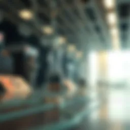 Conceptual representation of a decentralized file sharing network