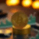 The Role of Bitcoin in South Korea An infographic illustrating Bitcoin's role in the South Korean financial market