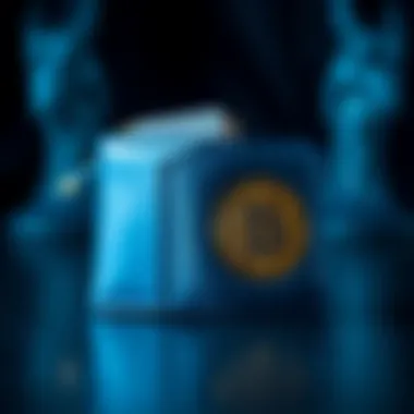 Symbolic representation of a blue wallet in the context of cryptocurrency.