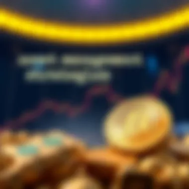 An infographic on effective asset management strategies using Burnihub