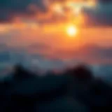 Exploring the Future of Cronos Coin