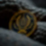 An overview of the Cronos coin logo and branding