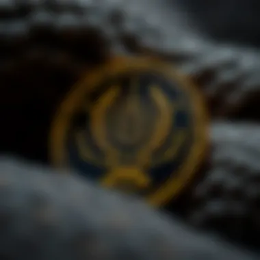 Cronos Coin Logo An overview of the Cronos coin logo and branding