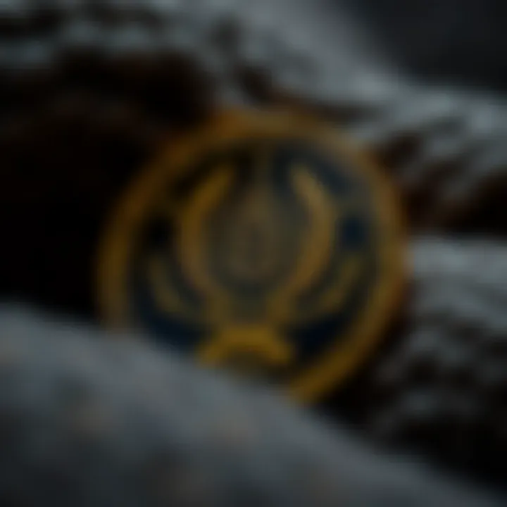 Cronos Coin Logo An overview of the Cronos coin logo and branding