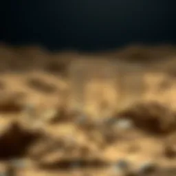Conceptual representation of cryptocurrency sandbox
