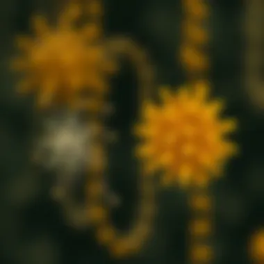 Cyclic vs Acyclic Graphs Comparison Comparative study of cyclic vs acyclic graphs highlighting key differences