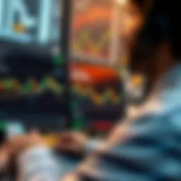 An overview of the Flybit trading platform interface