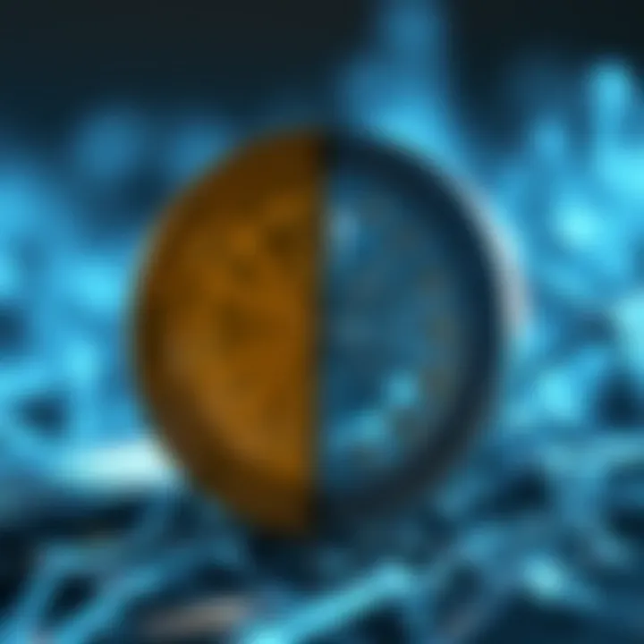 Hedera Hashgraph vs Traditional Blockchain Visual comparison of Hedera Hashgraph and traditional blockchain