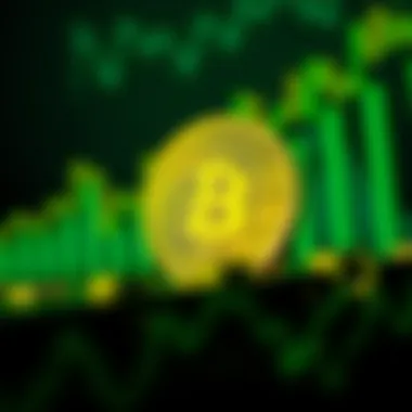 Investing in Cryptocurrency: The Role of Momentum Infographic on investment decisions in crypto markets