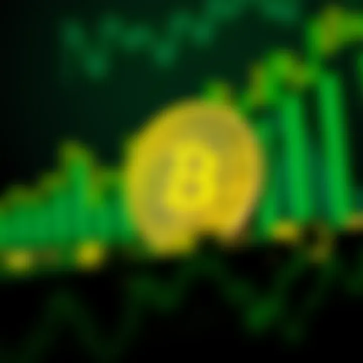 Investing in Cryptocurrency: The Role of Momentum Infographic on investment decisions in crypto markets