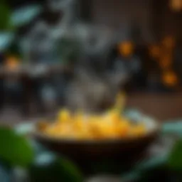 kava 코인에 대한 심층 분석 Introduction