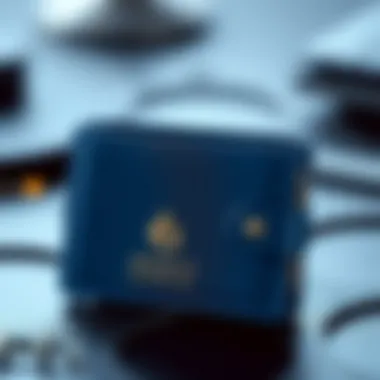 Modern interpretation of the blue wallet as a digital asset.