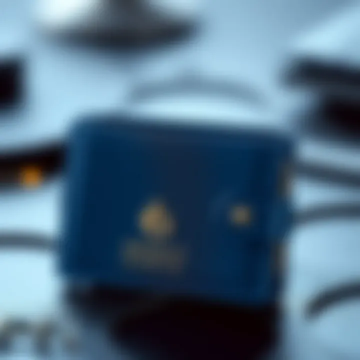 Modern interpretation of the blue wallet as a digital asset.