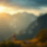 Conceptual diagram of OlympusDAO structure