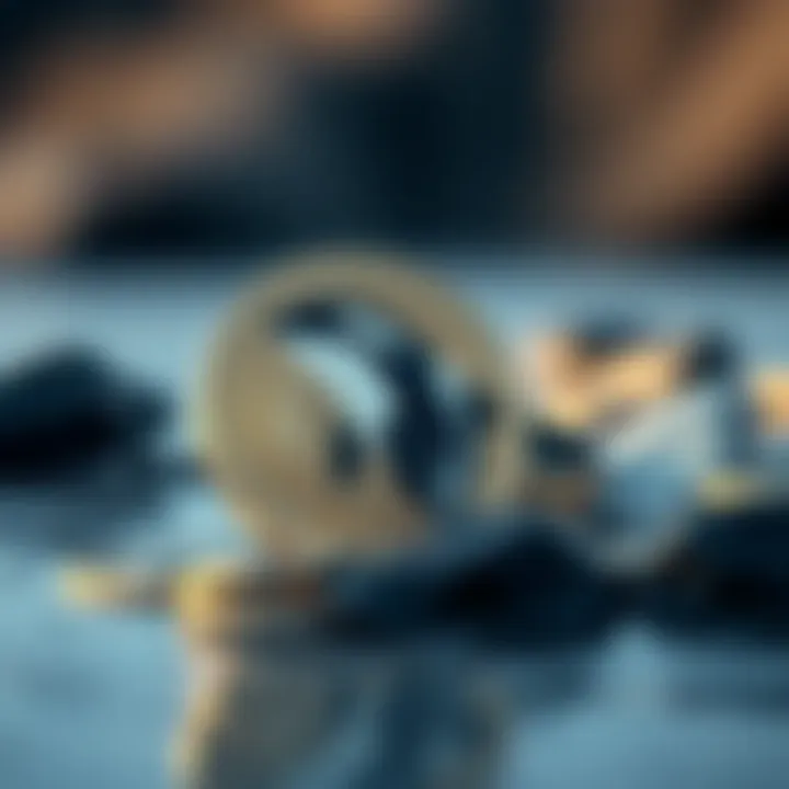 The Future Value of Orca Coin Future outlook on the value of Orca Coin