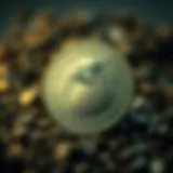 Understanding PepeCoin Conceptual representation of PepeCoin