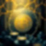 Digital representation of PHB coin in a blockchain environment