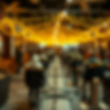 Swarm Applications in Society Graphical representation of swarm applications in social contexts