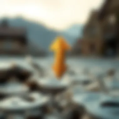 Tether's Role in Cryptocurrency Ecosystem Infographic on Tether's impact in the cryptocurrency ecosystem