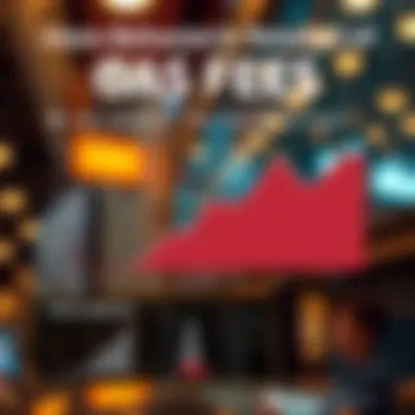 User Behavior in Relation to Gas Fees Infographic detailing user behavior related to gas fees