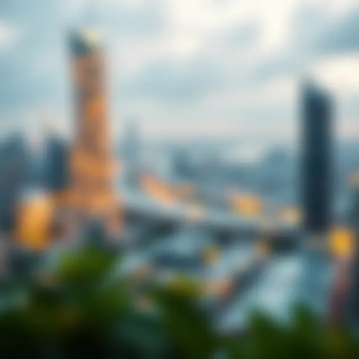 Services and Investment Opportunities Offered by Velo Protocol Infographic showcasing Velo Protocol's services and investment opportunities