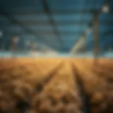 Conceptual illustration of Yield Farming in cryptocurrency