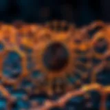 Conceptual illustration of zk-SNARKs technology in blockchain